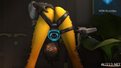 与老鹰之间 与老鹰之间