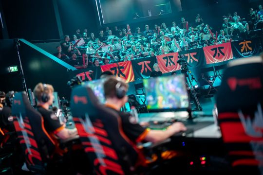 背后的真实 背后的真实