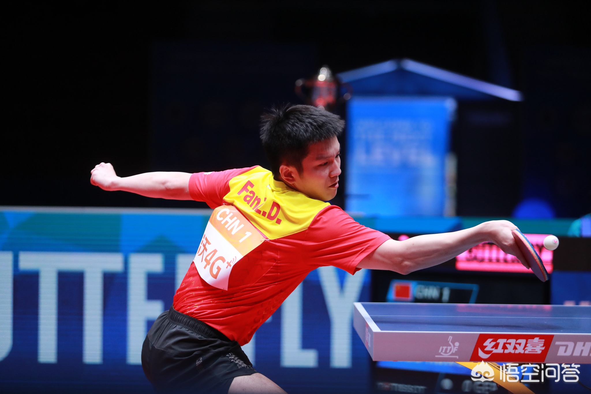 纪律调查层 纪律调查层